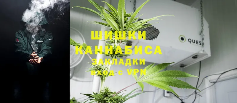 Шишки марихуана Bruce Banner  Бикин 